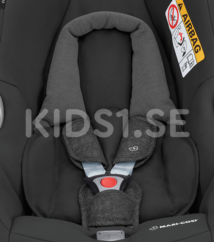 Kids1